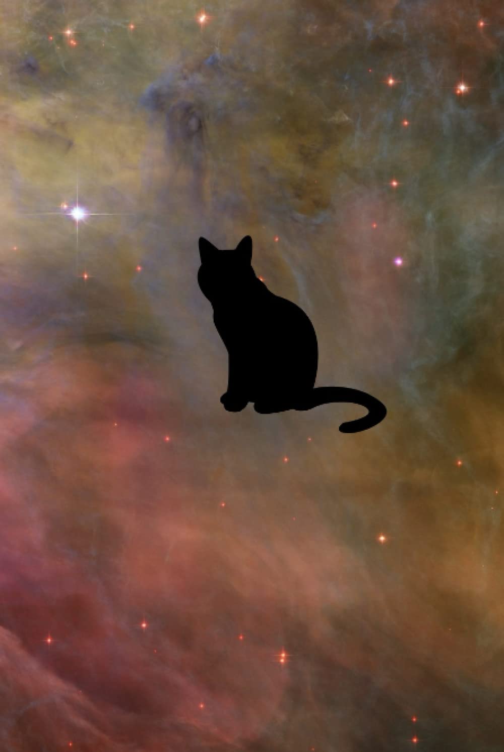 Galaxy Cat Notebook/Journal (Independently published)
Galaxy Cat Notebook/Journal (Independently published)