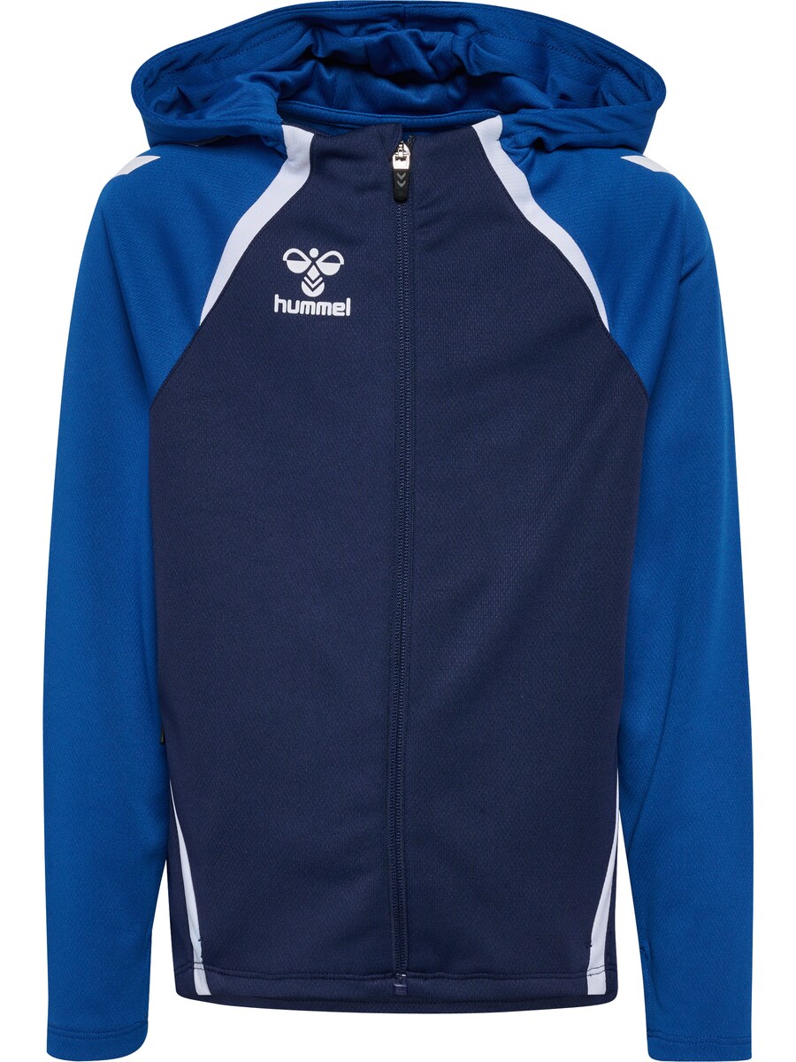 Спортивная толстовка с капюшоном на молнии Hummel Ead 2.0, цвет Blue/Royal blue
Спортивная толстовка с капюшоном на молнии Hummel Ead 2.0, цвет Blue/Royal blue