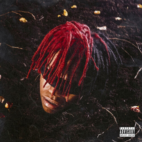 Виниловая пластинка Dc The Don - Funeral
Виниловая пластинка Dc The Don - Funeral