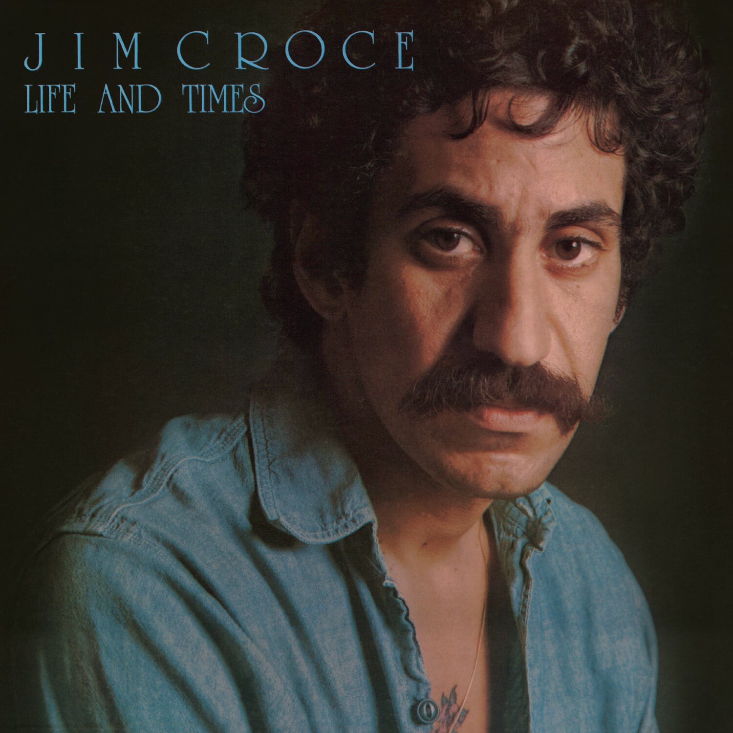 Виниловая пластинка Jim Croce - Life and Times (50th Anniversary Blue Vinyl)
Виниловая пластинка Jim Croce - Life and Times (50th Anniversary Blue Vinyl)