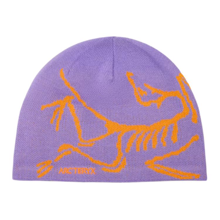 Arcteryx Шапка из мериносовой шерсти Unisex Purple
Arcteryx Шапка из мериносовой шерсти Unisex Purple