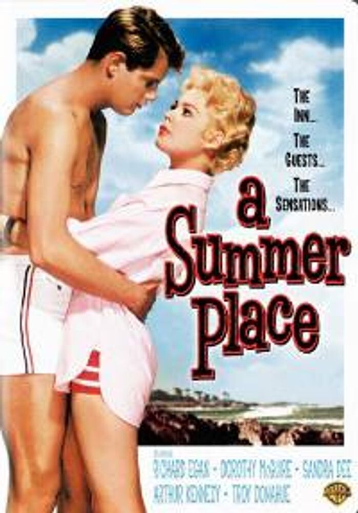 Диск DVD Summer Place 
Диск DVD Summer Place