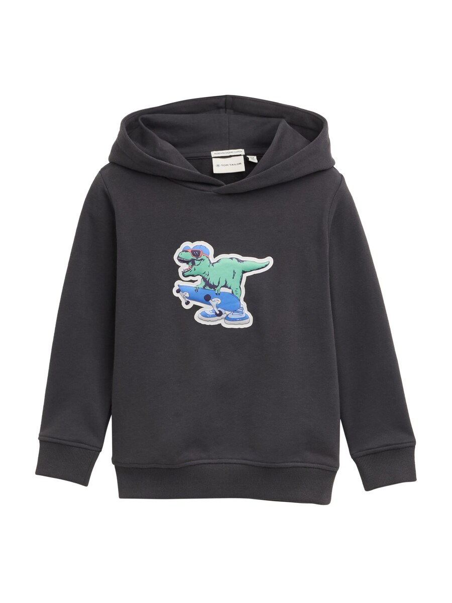 Толстовка TOM TAILOR, антрацит
Толстовка TOM TAILOR, антрацит