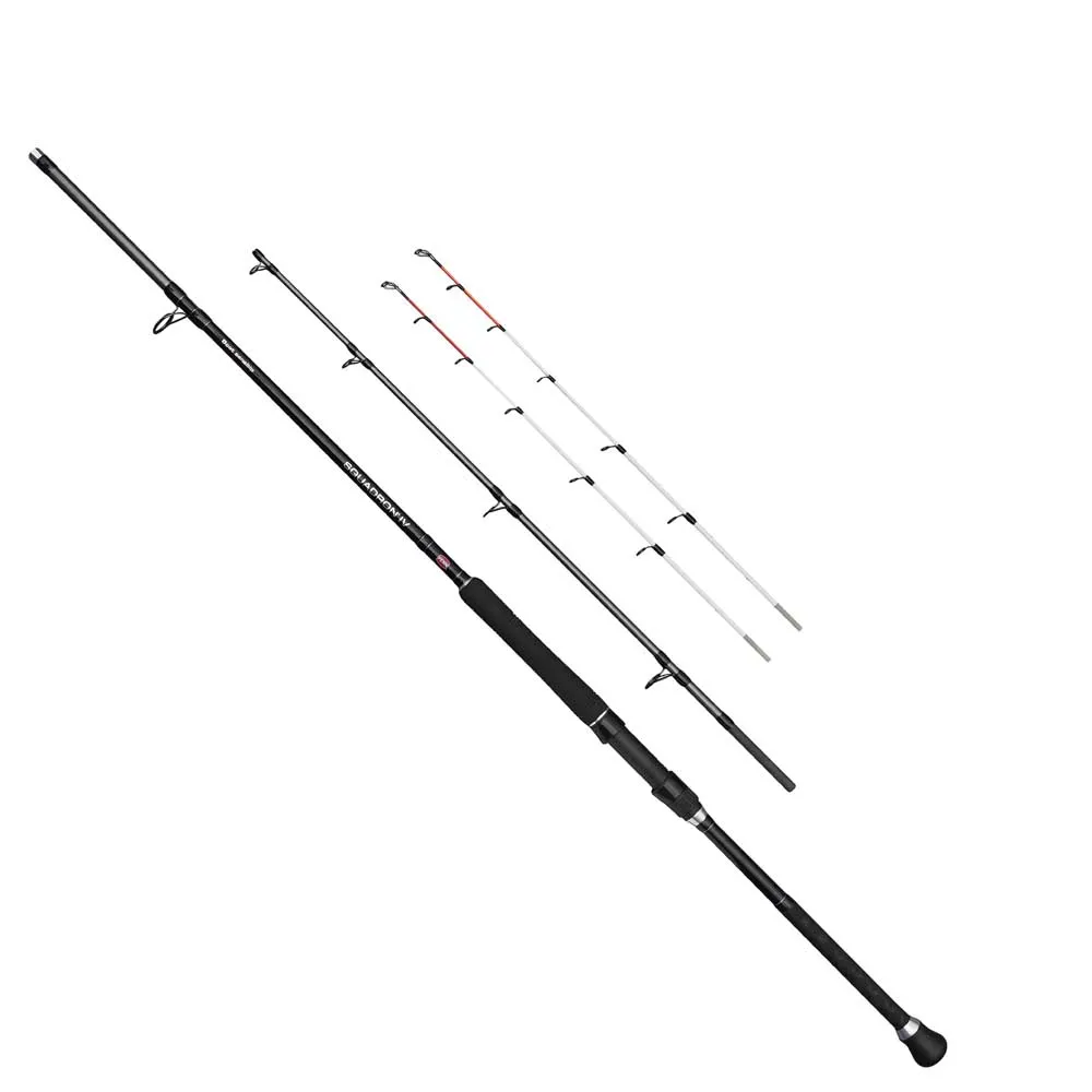 Спиннинг PENN Squadron IV Boat Sensitip, серебряный
Спиннинг PENN Squadron IV Boat Sensitip, серебряный