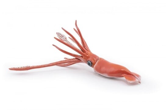 Papo 56058 Гигантский кальмар 23X5X18см 
Papo 56058 Гигантский кальмар 23X5X18см