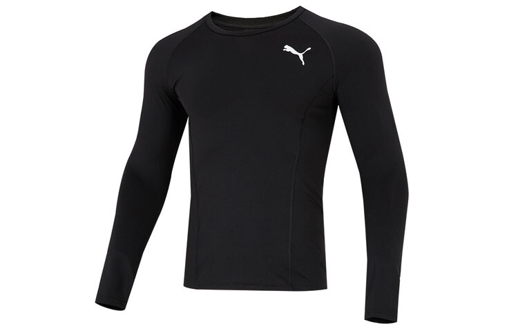 Мужская футболка Puma, цвет Black
Мужская футболка Puma, цвет Black