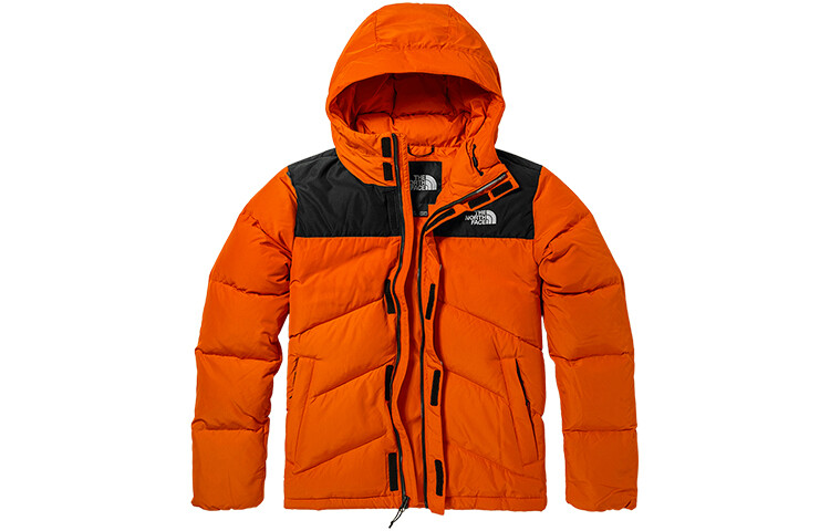 Пуховик мужской оранжевый The North Face, оранжевый
Пуховик мужской оранжевый The North Face, оранжевый