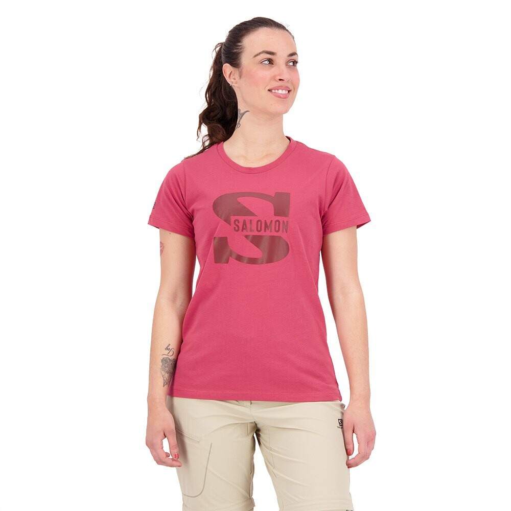Спортивная футболка Salomon Outlife Big Logo, красный
Спортивная футболка Salomon Outlife Big Logo, красный