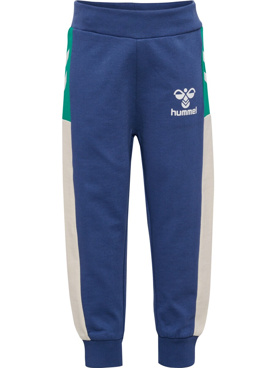 Зауженные брюки Hummel Skylan, синий
Зауженные брюки Hummel Skylan, синий