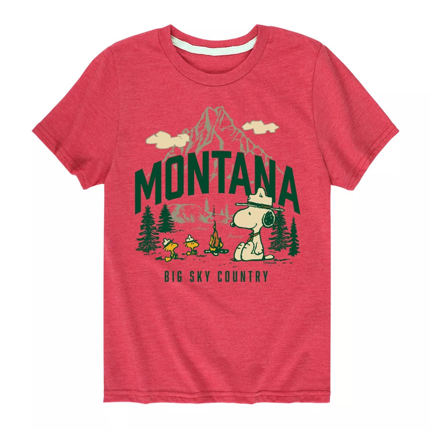 Футболка с рисунком Peanuts Montana Big Sky для мальчиков 8–20 лет Licensed Character, красный
Футболка с рисунком Peanuts Montana Big Sky для мальчиков 8–20 лет Licensed Character, красный