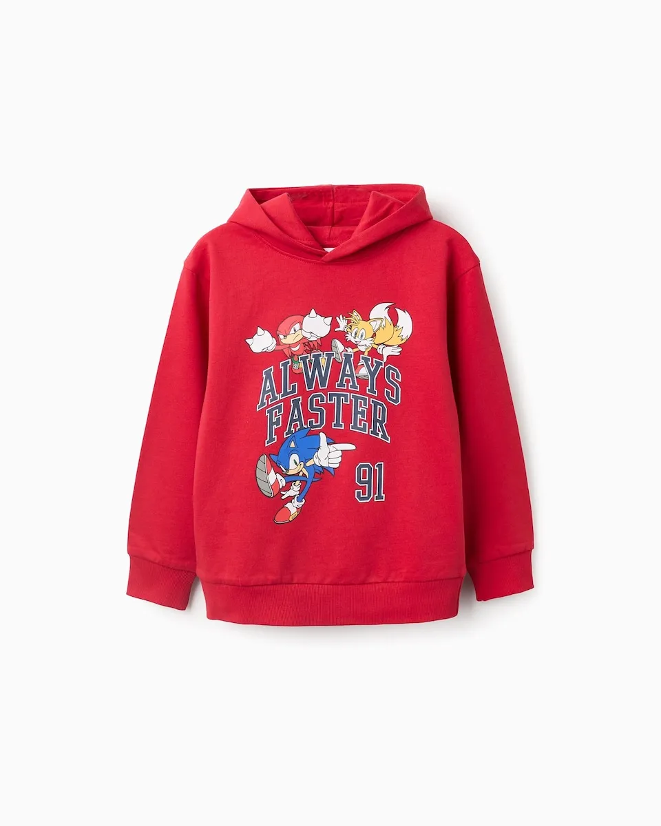 Детская толстовка с капюшоном с принтом Соника Zippy, красный
Детская толстовка с капюшоном с принтом Соника Zippy, красный
