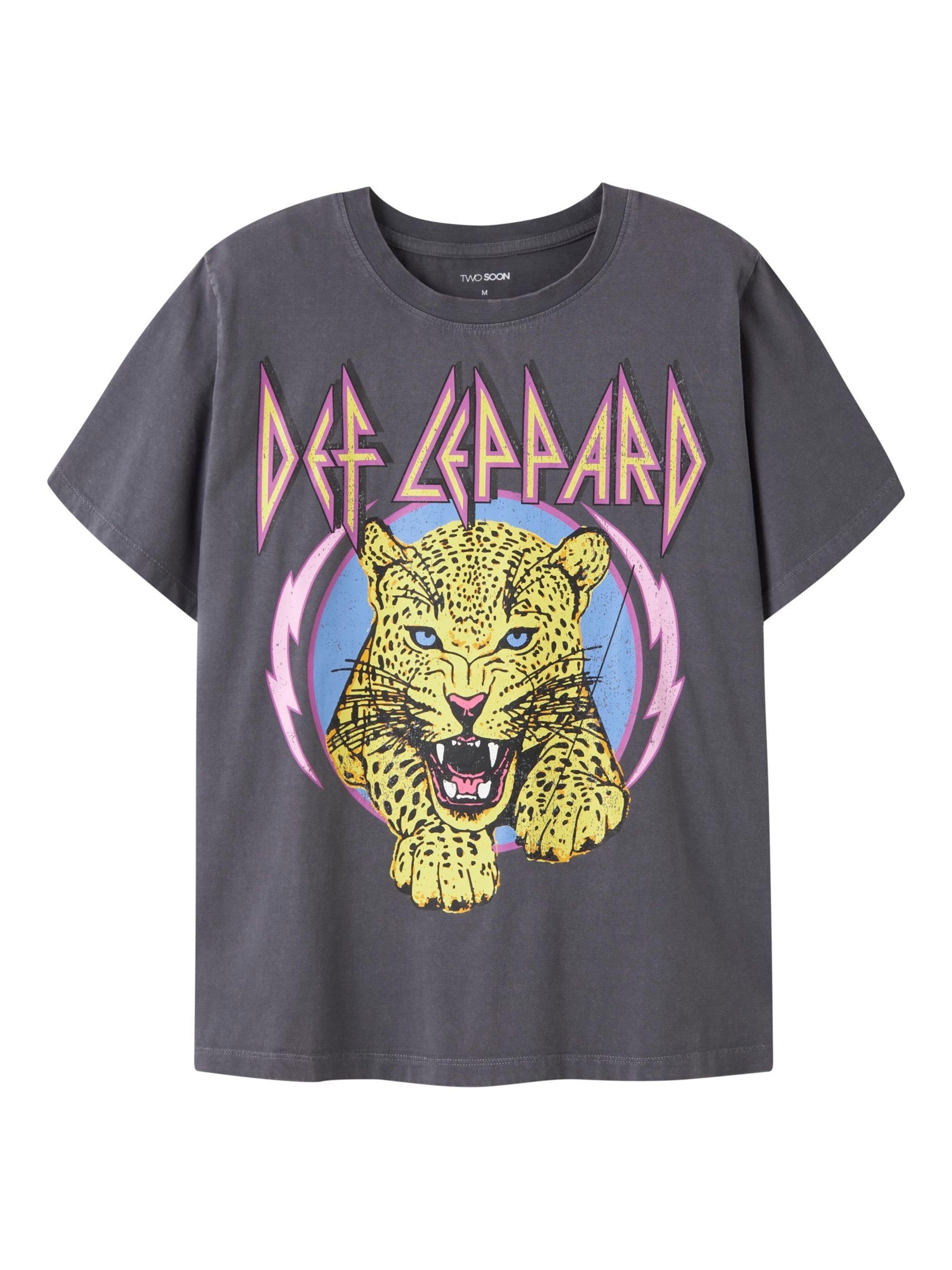 TWO SOON Футболка 'Def Leppard' в сером цвете
TWO SOON Футболка 'Def Leppard' в сером цвете