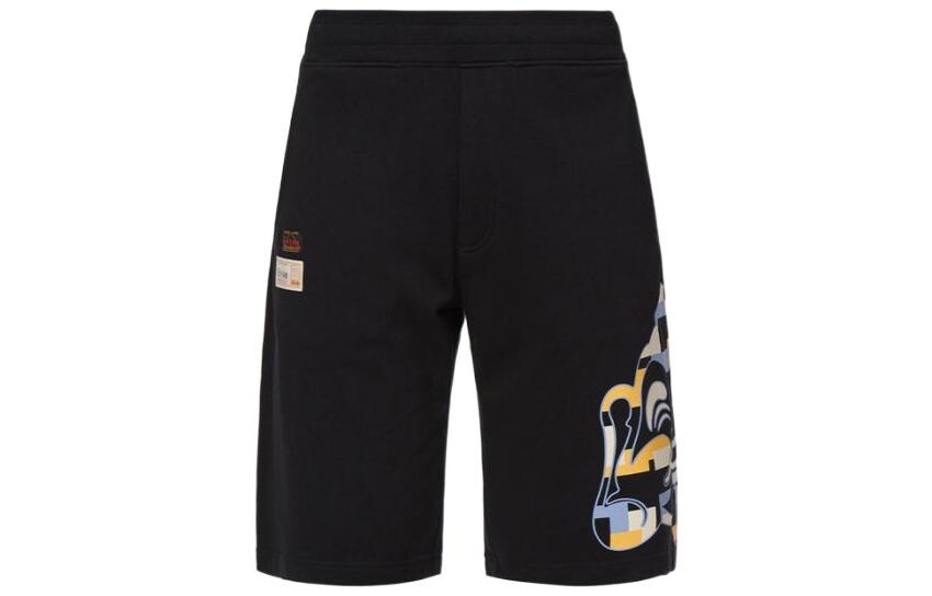 Повседневные шорты мужские черные Evisu, черный
Повседневные шорты мужские черные Evisu, черный