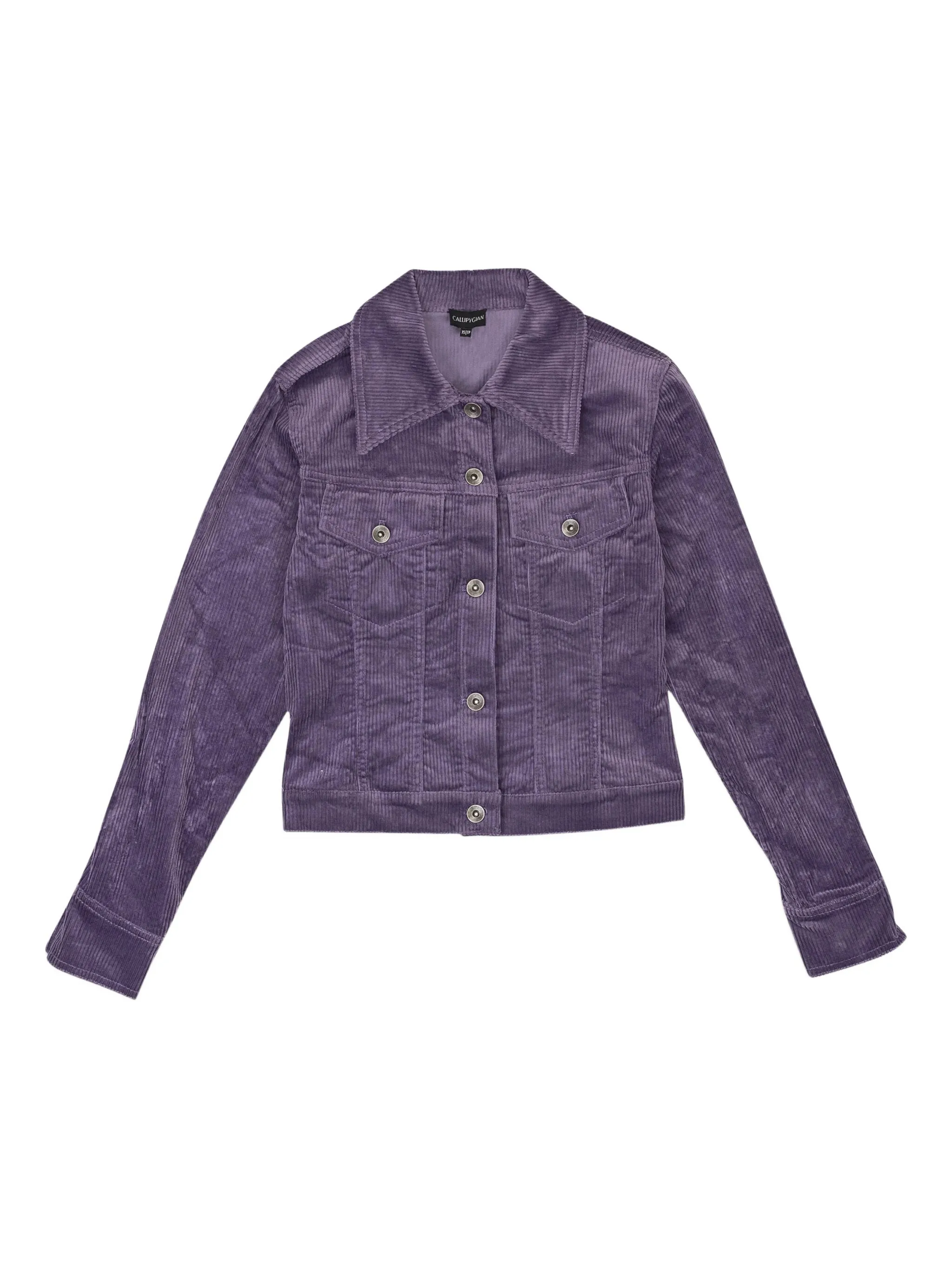 Вельветовый бомбер Callipygian, фиолетовый
Вельветовый бомбер Callipygian, фиолетовый