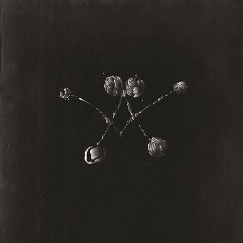 Виниловая пластинка Waterstrider - Nowhere Now
Виниловая пластинка Waterstrider - Nowhere Now