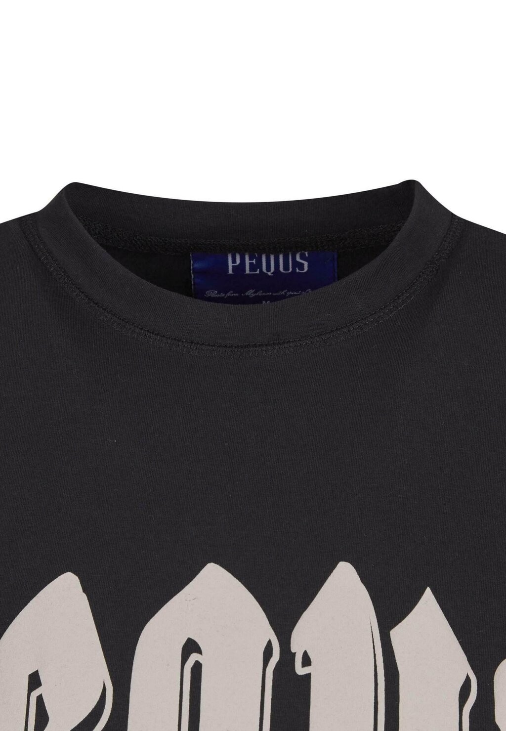 Футболка с принтом OUTLINED MYTHIC LOGO PEQUS, черный
Футболка с принтом OUTLINED MYTHIC LOGO PEQUS, черный