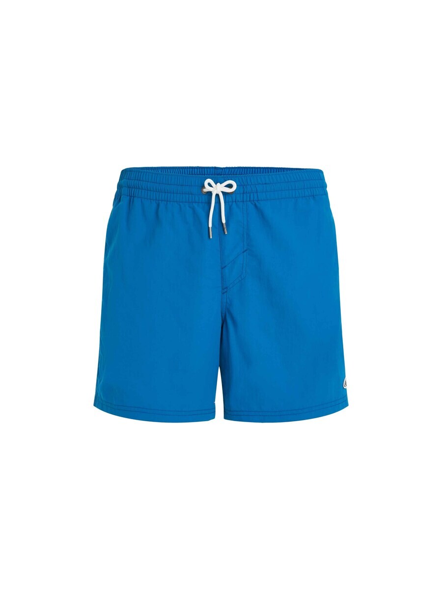 Шорты для серфинга O'NEILL Swimming Trunks Vert, синий 
Шорты для серфинга O'NEILL Swimming Trunks Vert, синий