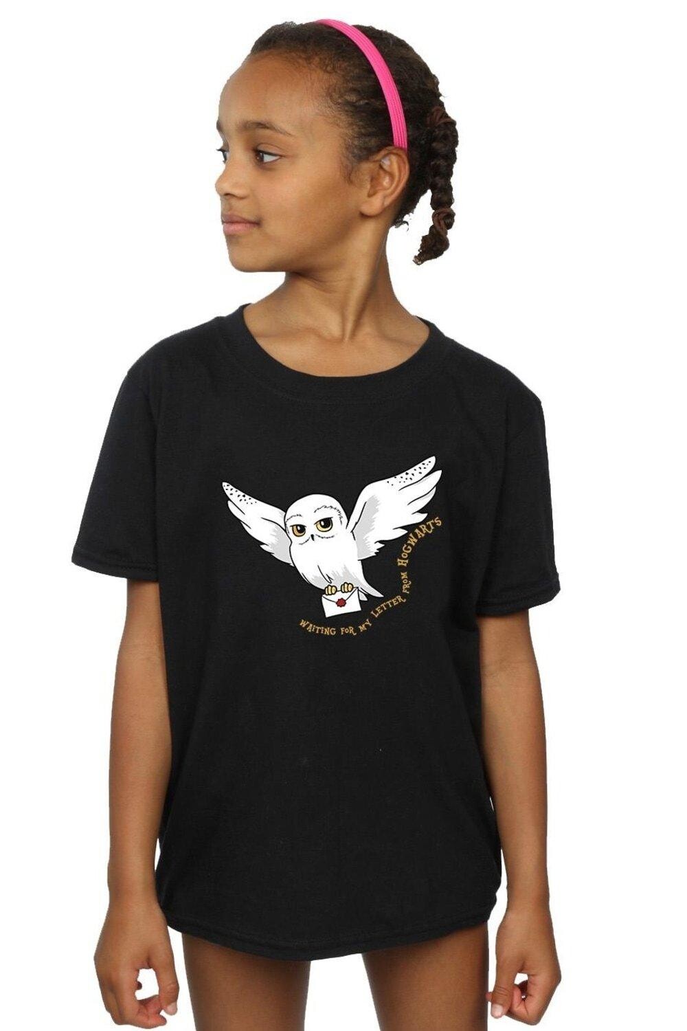 Хлопковая футболка с надписью «Сова» Harry Potter, черный 
Хлопковая футболка с надписью «Сова» Harry Potter, черный