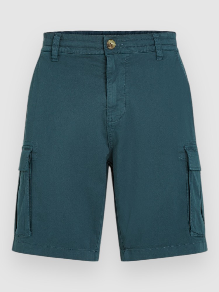 Шорты O'Neill Essentials Cargo Shorts, alma steel
Шорты O'Neill Essentials Cargo Shorts, alma steel