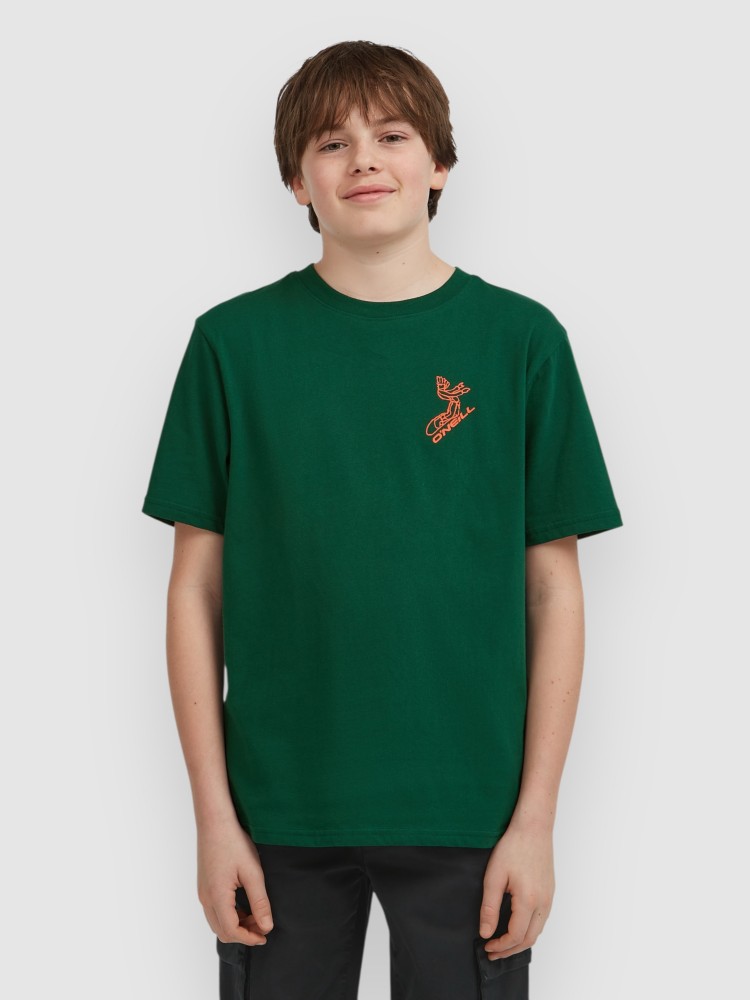 Футболка O'Neill Back Print Kids T-Shirt, emerald envy, Зеленый, Футболка O'Neill Back Print Kids T-Shirt, emerald envy
Футболка O'Neill Back Print Kids T-Shirt, emerald envy, Зеленый, Футболка O'Neill Back Print Kids T-Shirt, emerald envy