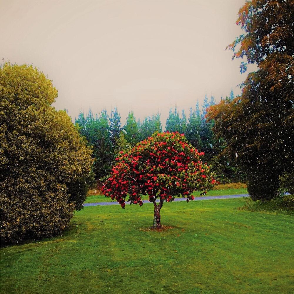 Диск CD Foothills - The Bats
Диск CD Foothills - The Bats