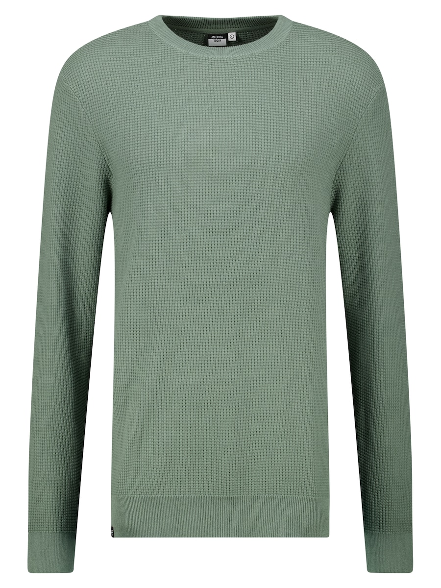 Свитер America Today, зеленый
Свитер America Today, зеленый
