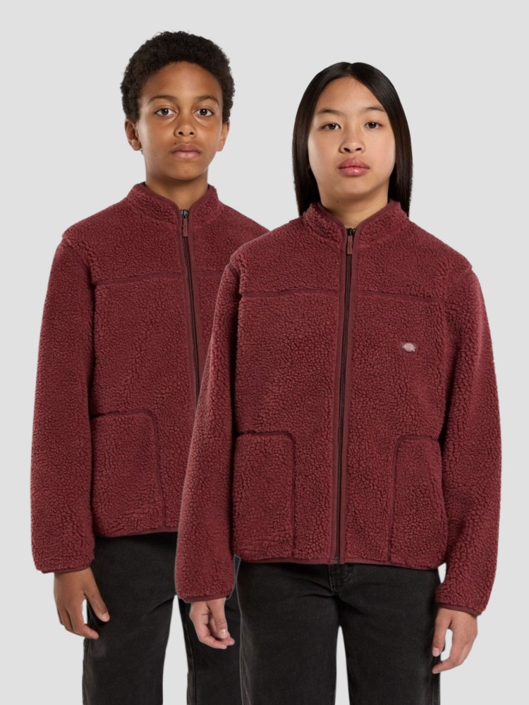 Спортивная куртка Dickies Mount Hope Kids Fleecejacke, andorra
Спортивная куртка Dickies Mount Hope Kids Fleecejacke, andorra