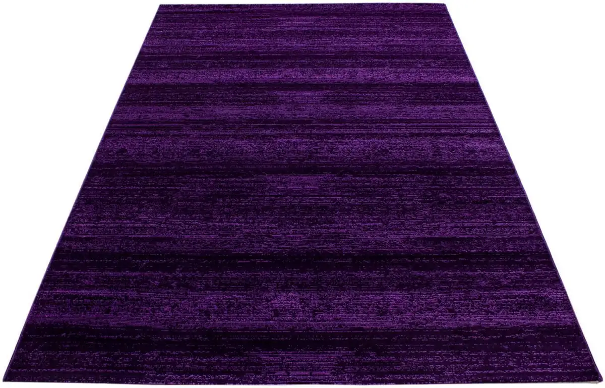 Ayyildiz Carpets Ковер "Plus 8000", прямоугольный, гостиная Ayyildiz Teppiche 160х230 см, цвет lila
Ayyildiz Carpets Ковер "Plus 8000", прямоугольный, гостиная Ayyildiz Teppiche 160х230 см, цвет lila