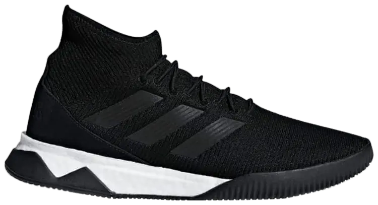 Кроссовки adidas Predator Tango 18.1 TR 'Black', черный
Кроссовки adidas Predator Tango 18.1 TR 'Black', черный