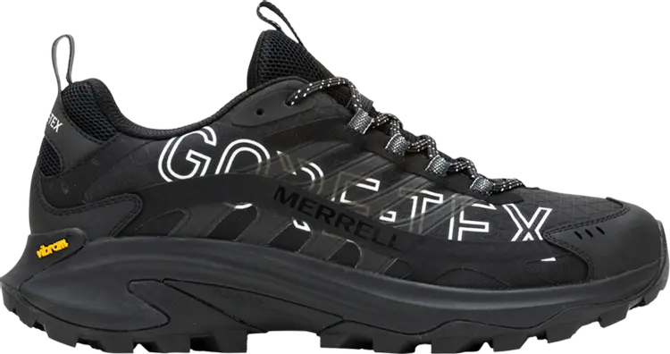 Кроссовки Moab Speed 2 GORE-TEX Bl 1TRL 'Black', черный
Кроссовки Moab Speed 2 GORE-TEX Bl 1TRL 'Black', черный