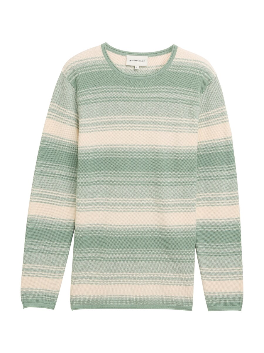 Свитер TOM TAILOR, Reed/Pastel green
Свитер TOM TAILOR, Reed/Pastel green