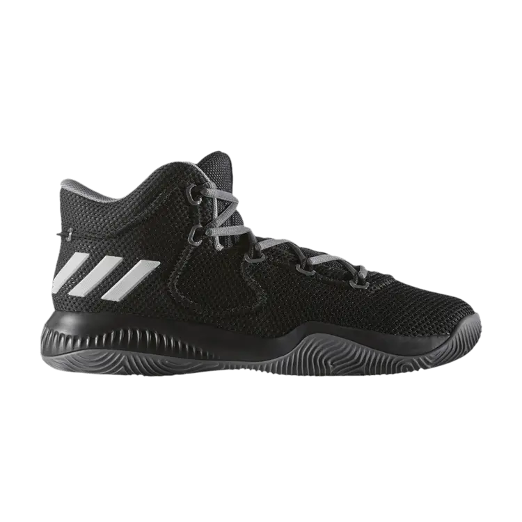 Кроссовки adidas Crazy Explosive TD 'Black', черный
Кроссовки adidas Crazy Explosive TD 'Black', черный