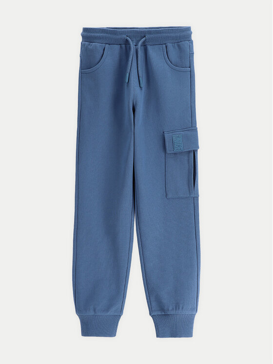 Спортивные брюки обычного кроя WC5120102VBA Coccodrillo, синий
Спортивные брюки обычного кроя WC5120102VBA Coccodrillo, синий