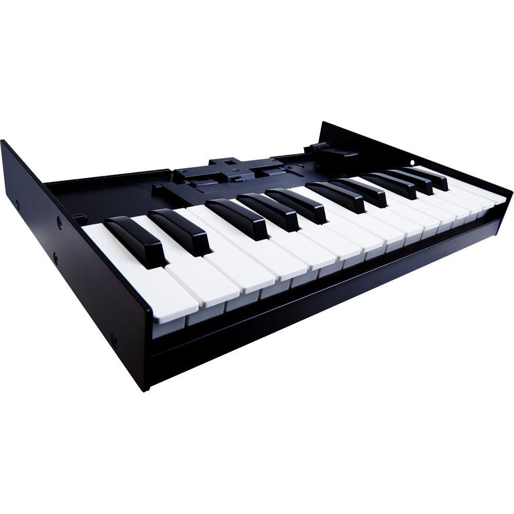 Roland K-25m Portable Keyboard Unit for Roland Boutique K-25M
Roland K-25m Portable Keyboard Unit for Roland Boutique K-25M