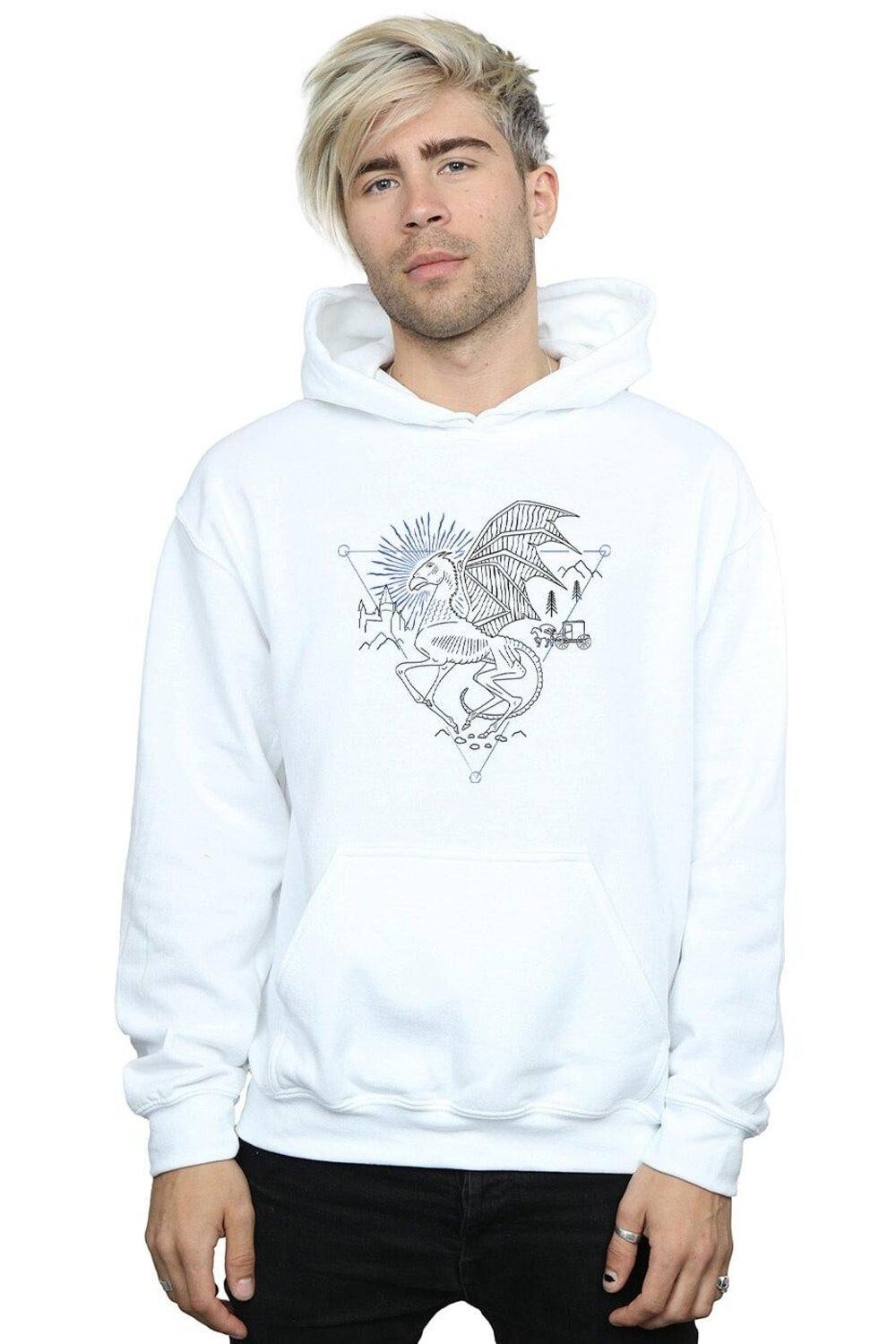 Толстовка Thestral Line Art Harry Potter, белый
Толстовка Thestral Line Art Harry Potter, белый