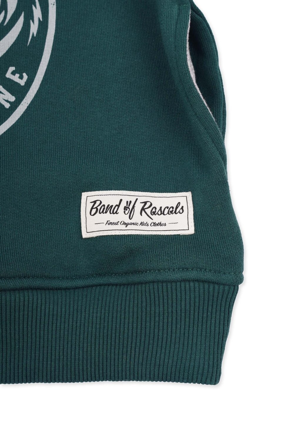 Толстовка с капюшоном WILD Band of Rascals, зеленый
Толстовка с капюшоном WILD Band of Rascals, зеленый