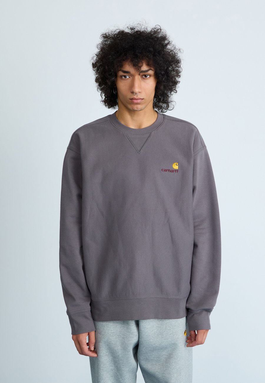Толстовка Carhartt WIP AMERICAN SCRIPT, Porphyry/Grey
Толстовка Carhartt WIP AMERICAN SCRIPT, Porphyry/Grey