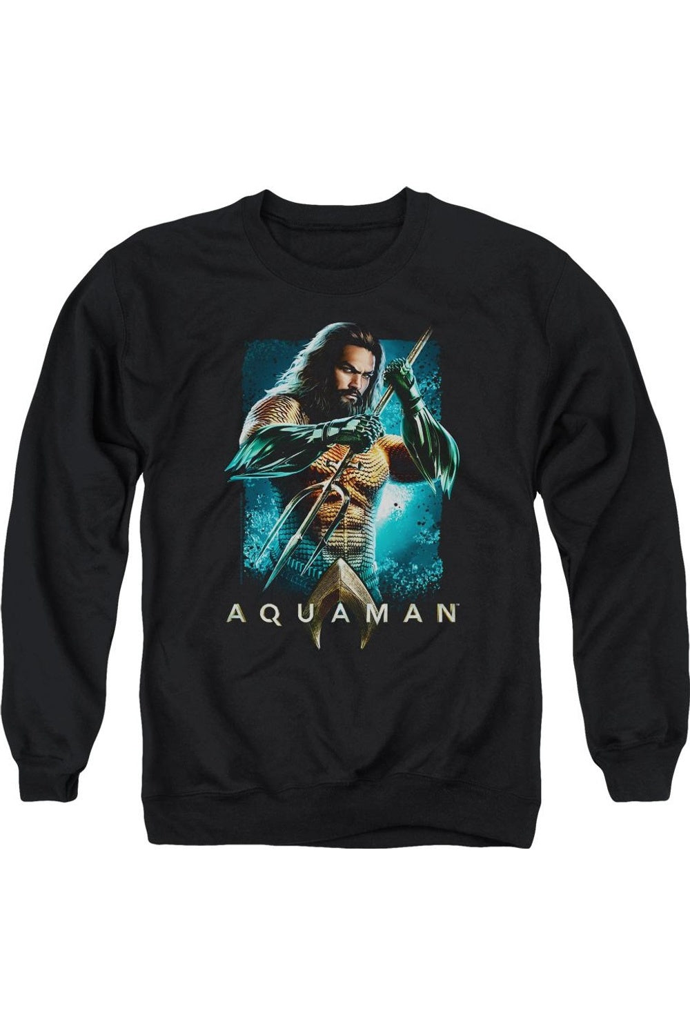Толстовка с круглым вырезом для взрослых с изображением фильма «Аквамен» Trident Gildan, черный
Толстовка с круглым вырезом для взрослых с изображением фильма «Аквамен» Trident Gildan, черный