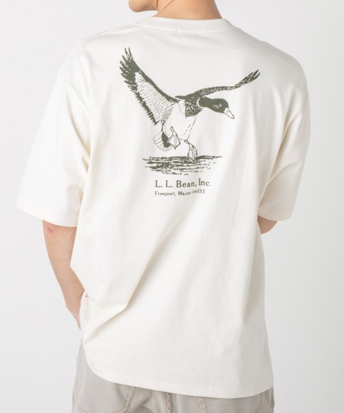 Футболка с коротким рукавом, анималистический принт L.L.Bean, белый
Футболка с коротким рукавом, анималистический принт L.L.Bean, белый