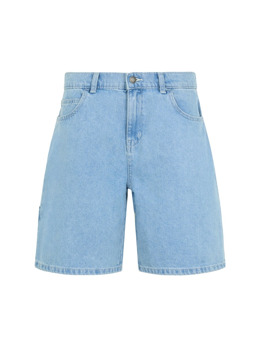 Джинсы свободного кроя DICKIES Herndon, светло-синий
Джинсы свободного кроя DICKIES Herndon, светло-синий