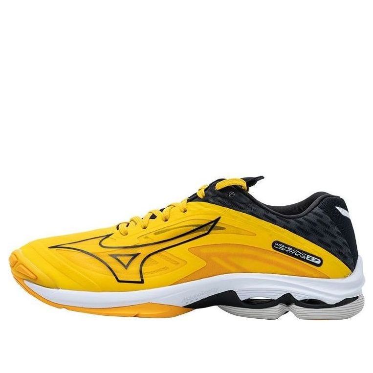 Носки Mizuno Wave Lighting Z7, черный
Носки Mizuno Wave Lighting Z7, черный