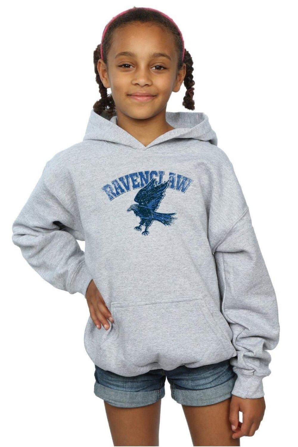 Толстовка со спортивной эмблемой Рейвенкло Harry Potter, серый
Толстовка со спортивной эмблемой Рейвенкло Harry Potter, серый