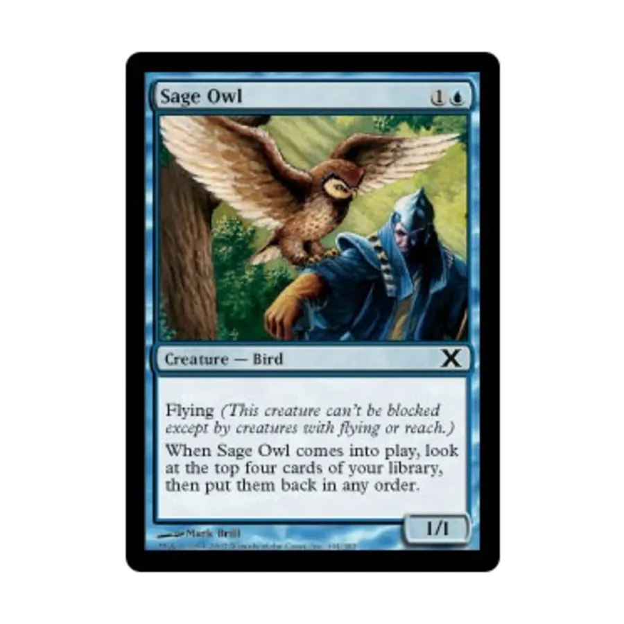 CCG Мудрая сова (С), MTG - 10th Edition
CCG Мудрая сова (С), MTG - 10th Edition