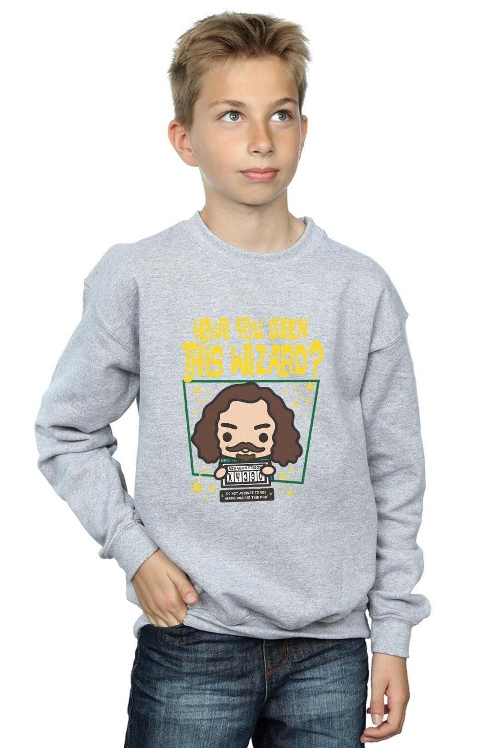 Толстовка Sirius Black Azkaban Harry Potter, серый
Толстовка Sirius Black Azkaban Harry Potter, серый