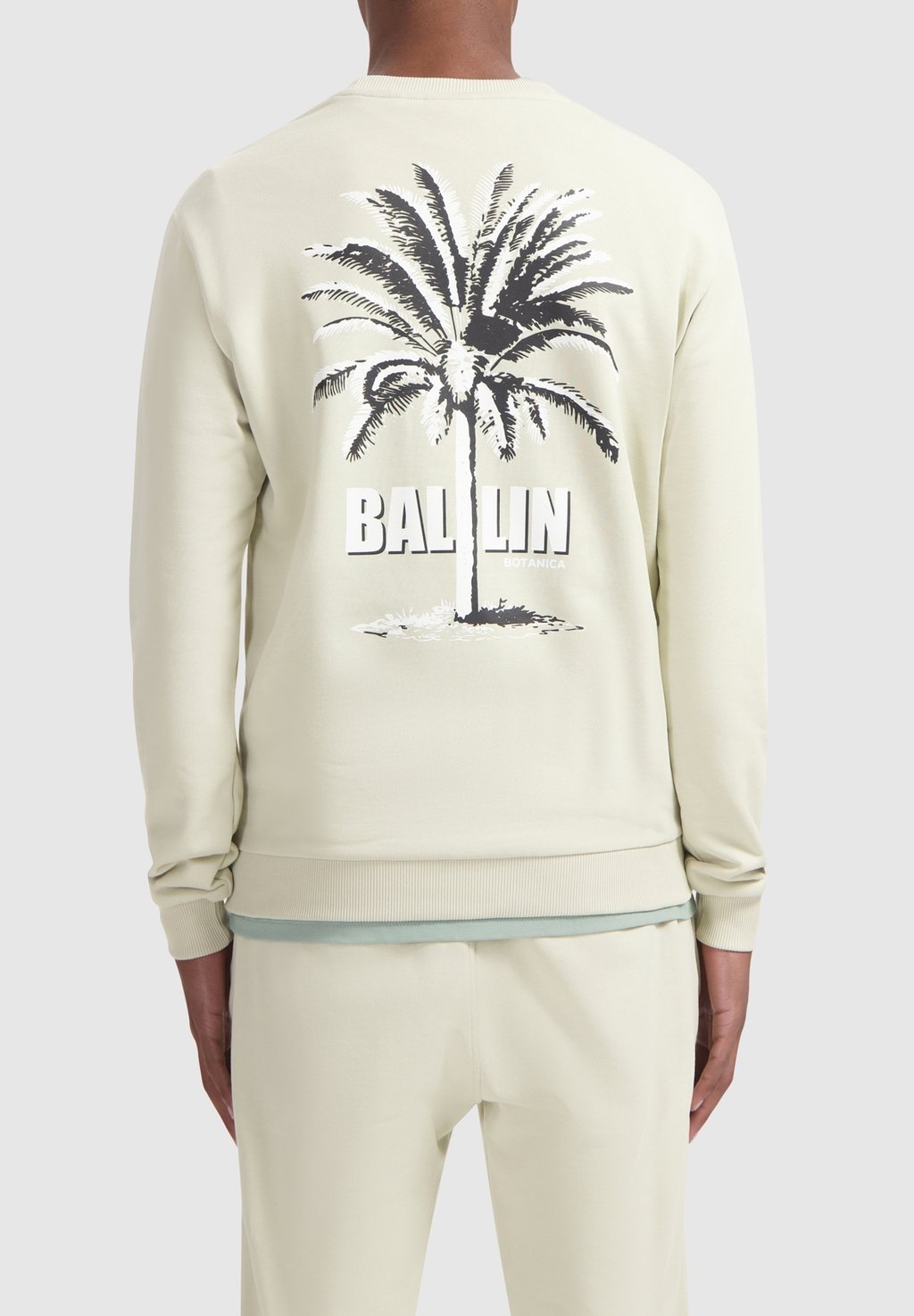 Толстовка REGULAR FIT CREWNECK Ballin, песочный
Толстовка REGULAR FIT CREWNECK Ballin, песочный