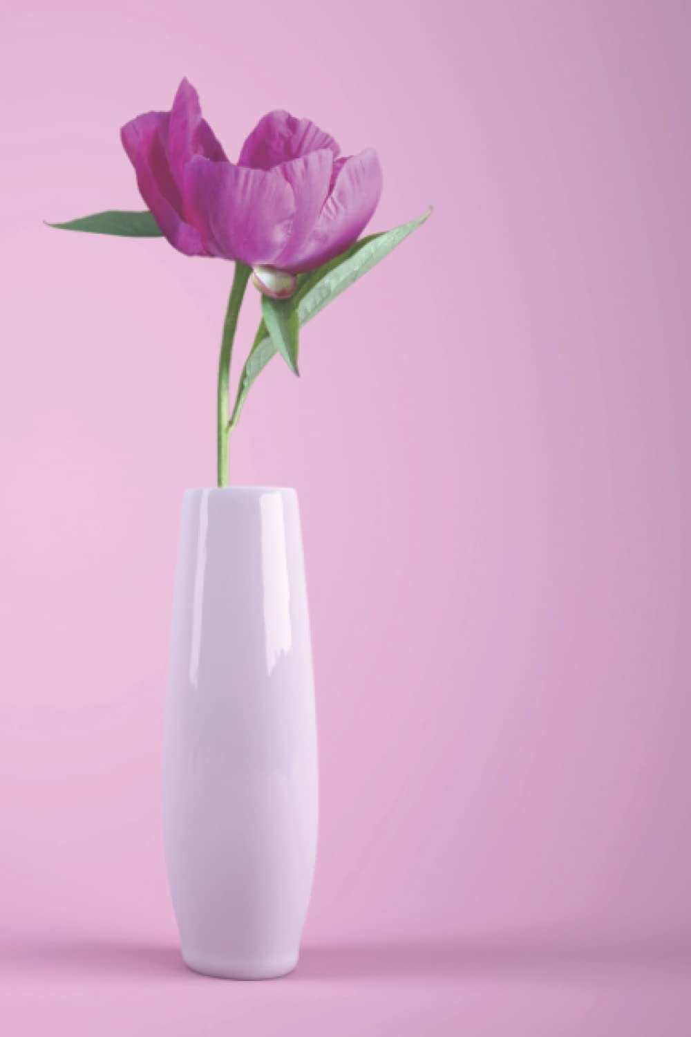 Password Book: Internet Password - 6 x 9 inch (Independently published)
Password Book: Internet Password - 6 x 9 inch (Independently published)