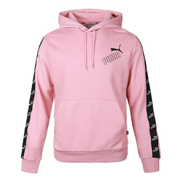 Толстовка amplified hoodie 'pink' Puma, розовый
Толстовка amplified hoodie 'pink' Puma, розовый