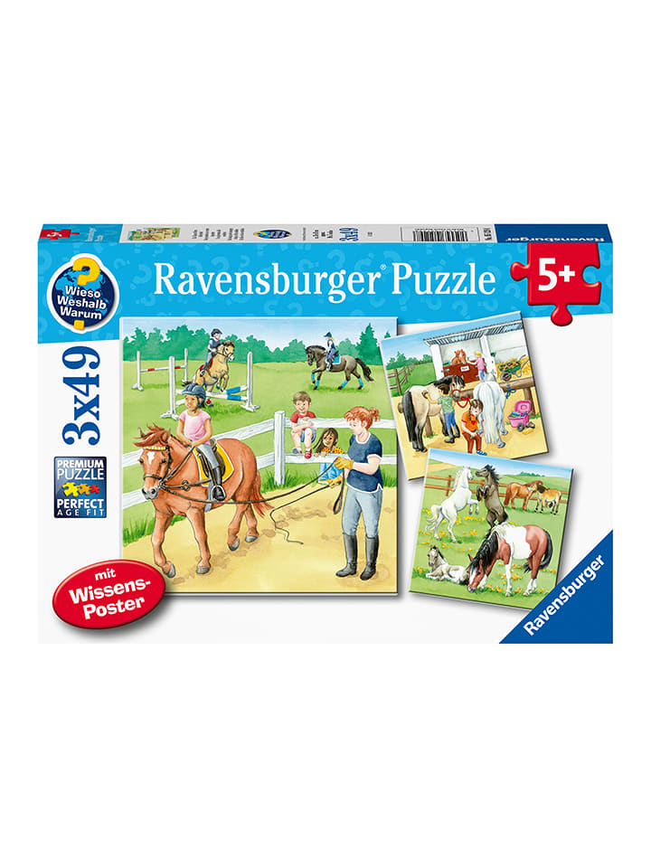 Пазл из 3 частей по 49 деталей «День в конюшне» - для детей от 5 лет и старше
Пазл из 3 частей по 49 деталей «День в конюшне» - для детей от 5 лет и старше