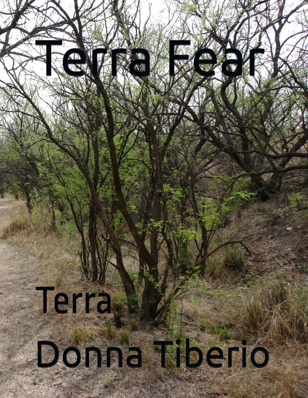 Terra Fear: Terra (Independently published)
Terra Fear: Terra (Independently published)