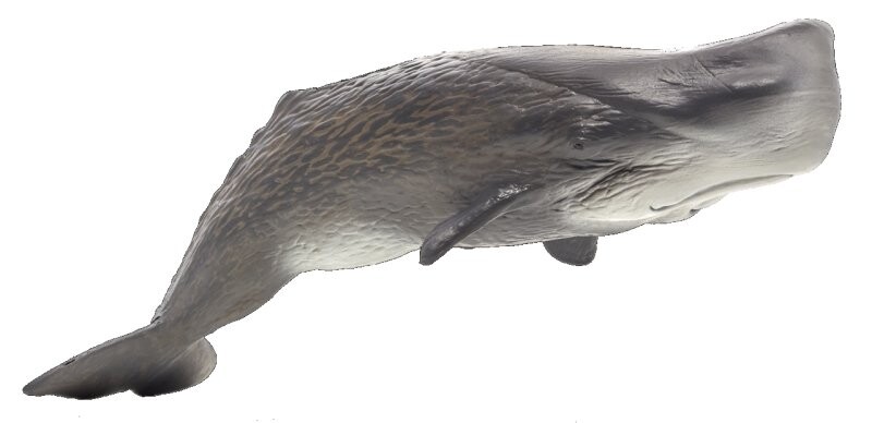 Планета животных, Коллекционная фигурка, Кашалот, 7210 Mojo
Планета животных, Коллекционная фигурка, Кашалот, 7210 Mojo